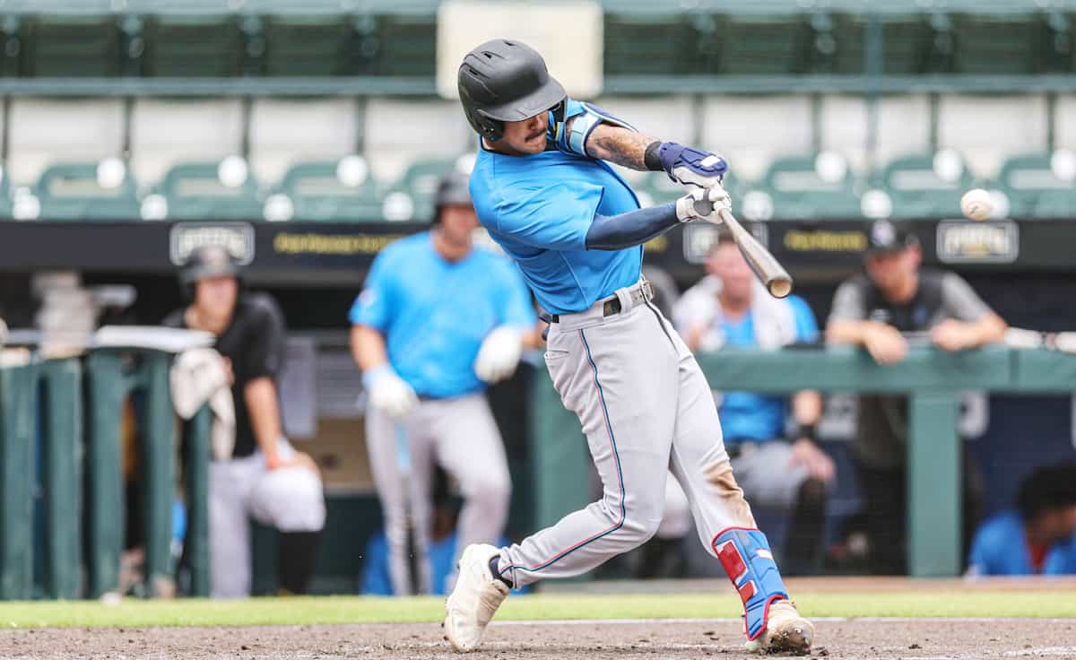 Jupiter Hammerheads