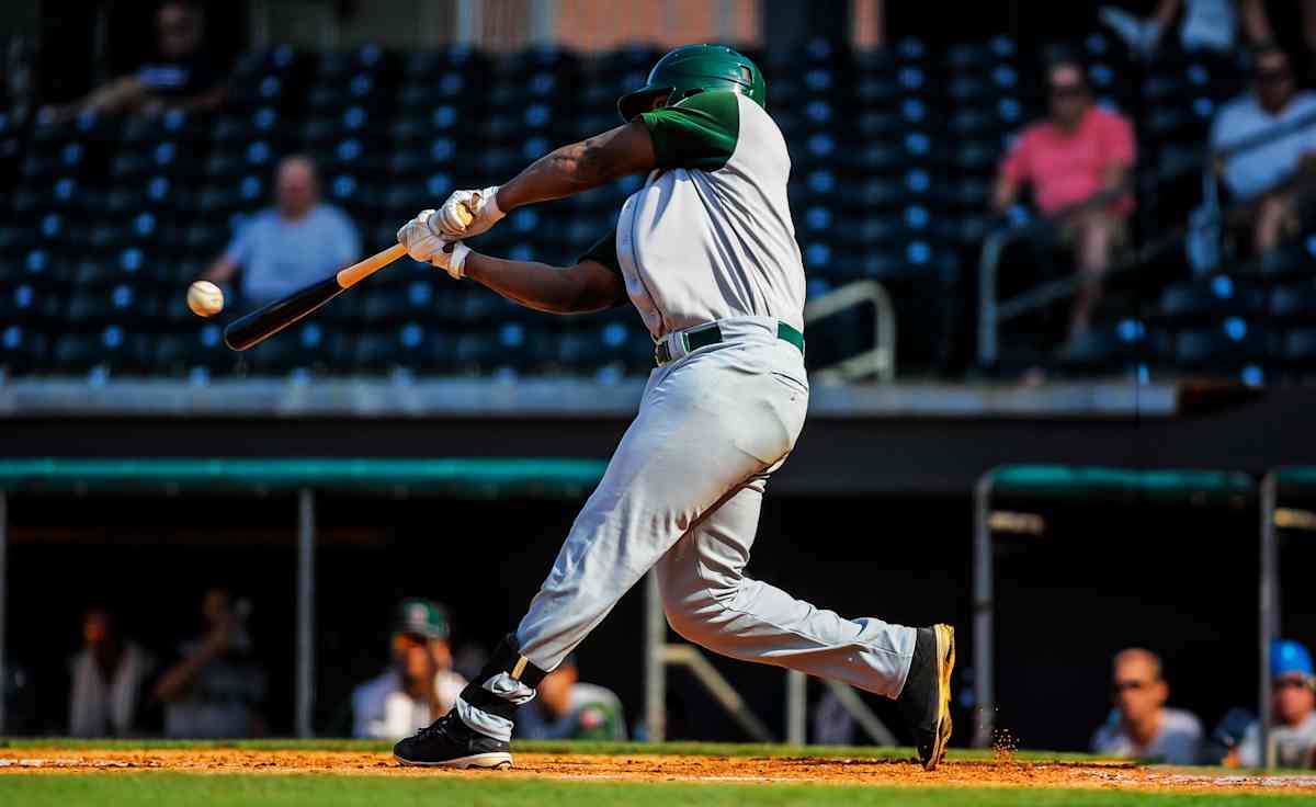 Fort Wayne Tincaps