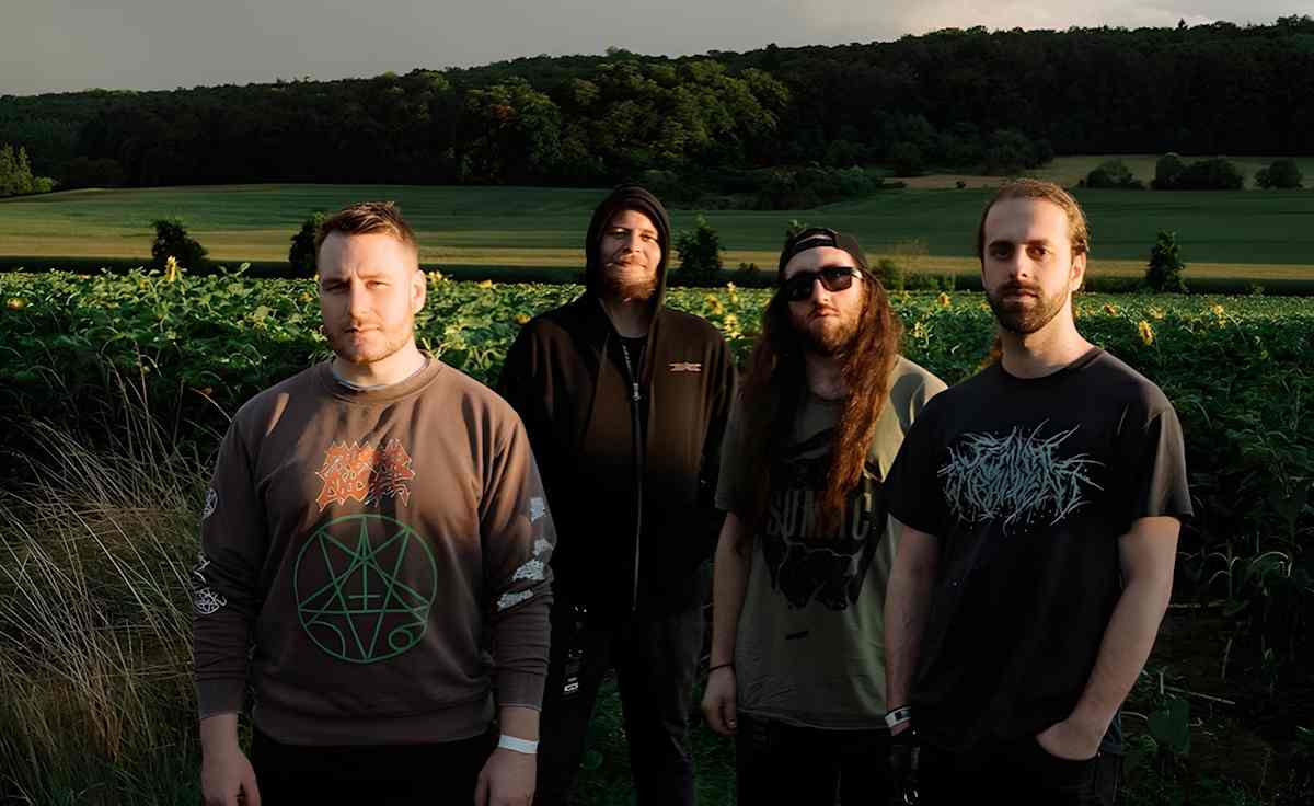 Disentomb