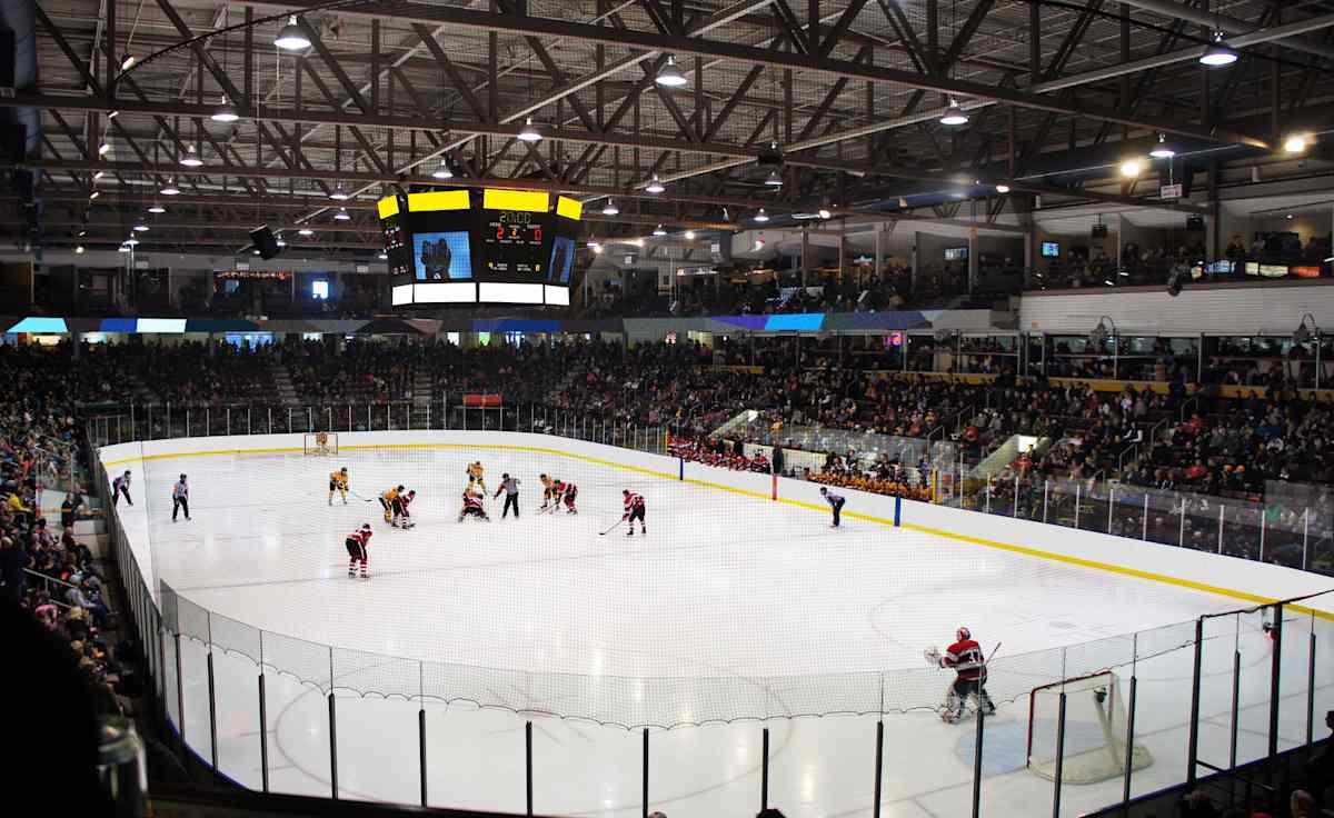 Sarnia Sting