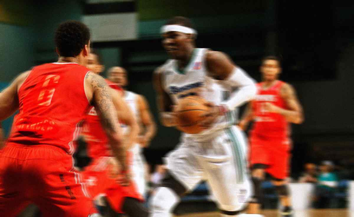 Rio Grande Valley Vipers