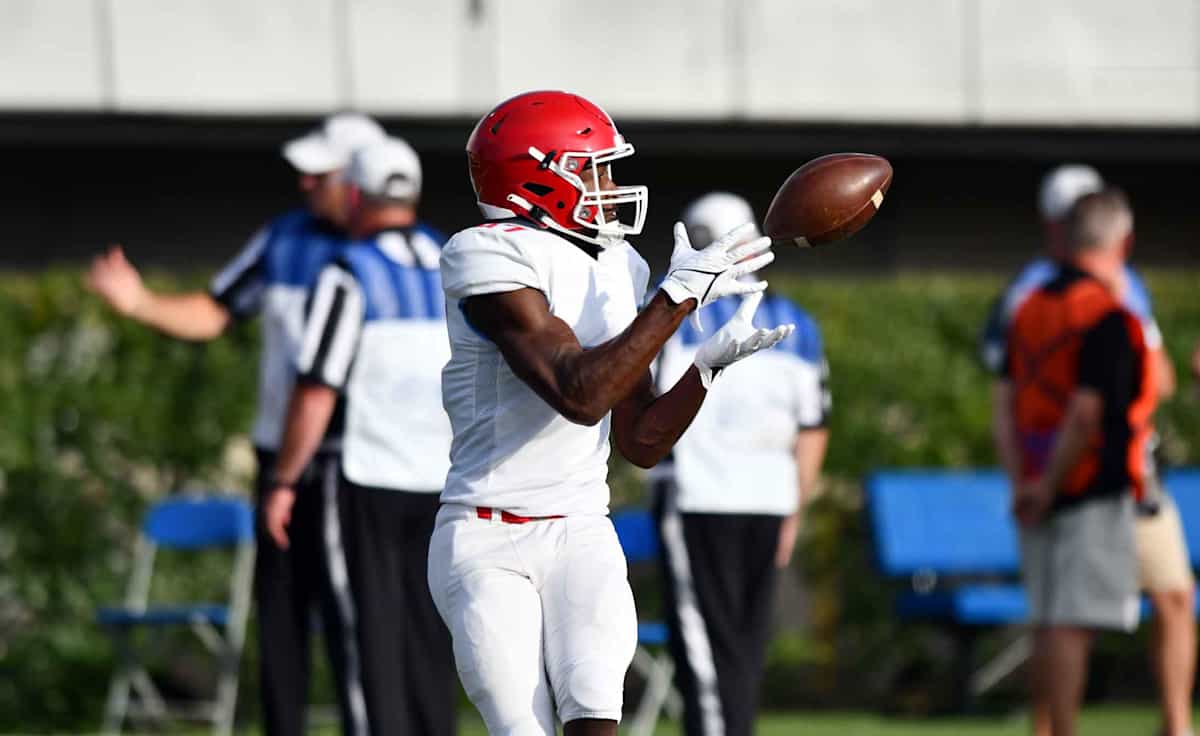 Delaware State Hornets Football