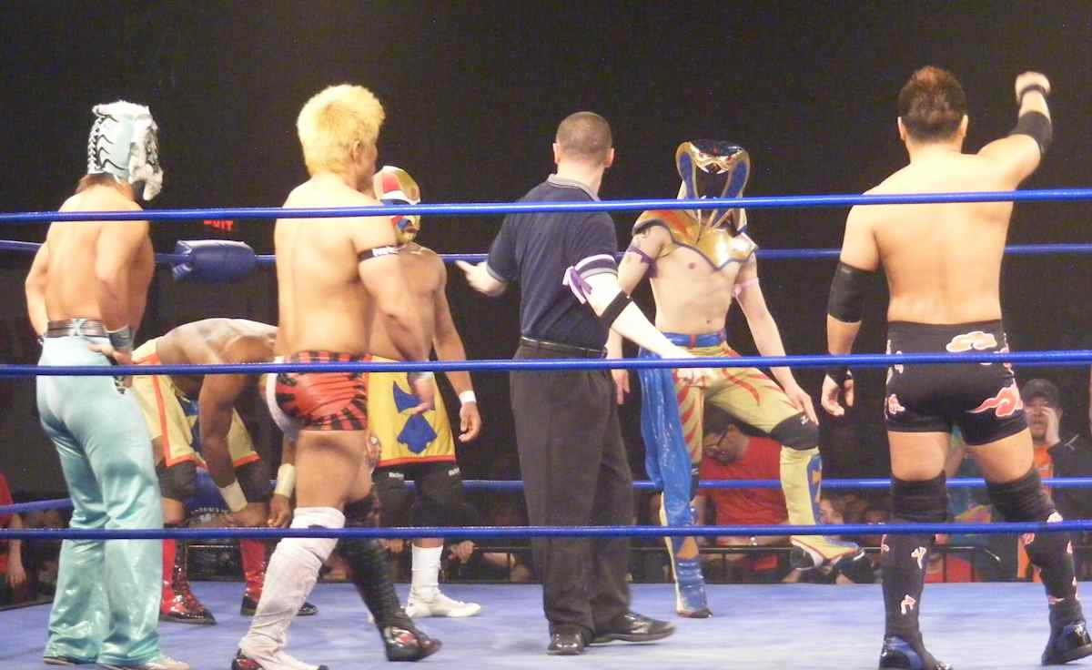 Dragon Gate Pro-Wrestling