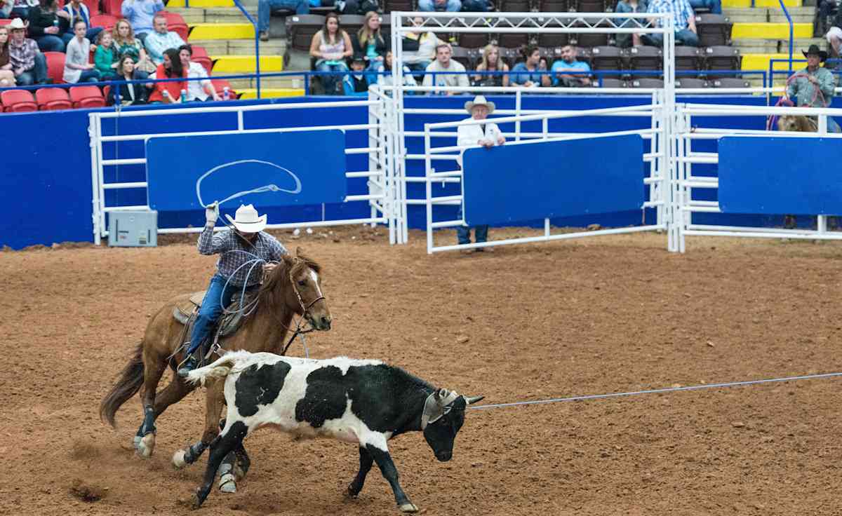 Austin Rodeo