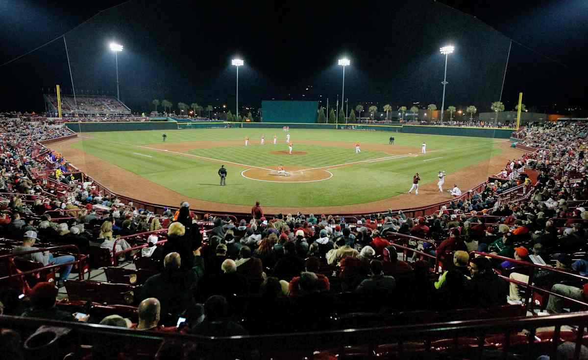 South Carolina Gamecocks Softball