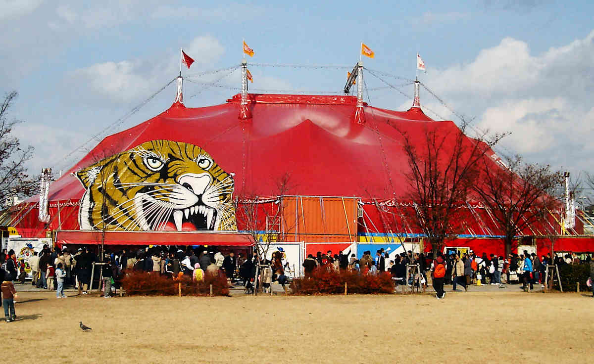 Kinoshita Circus