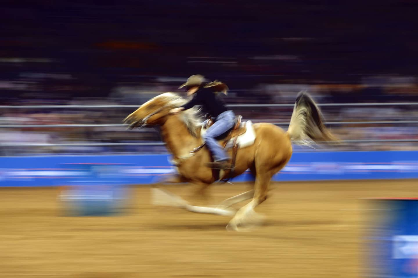 Houston Livestock Show and Rodeo Tickets Buy or Sell Houston