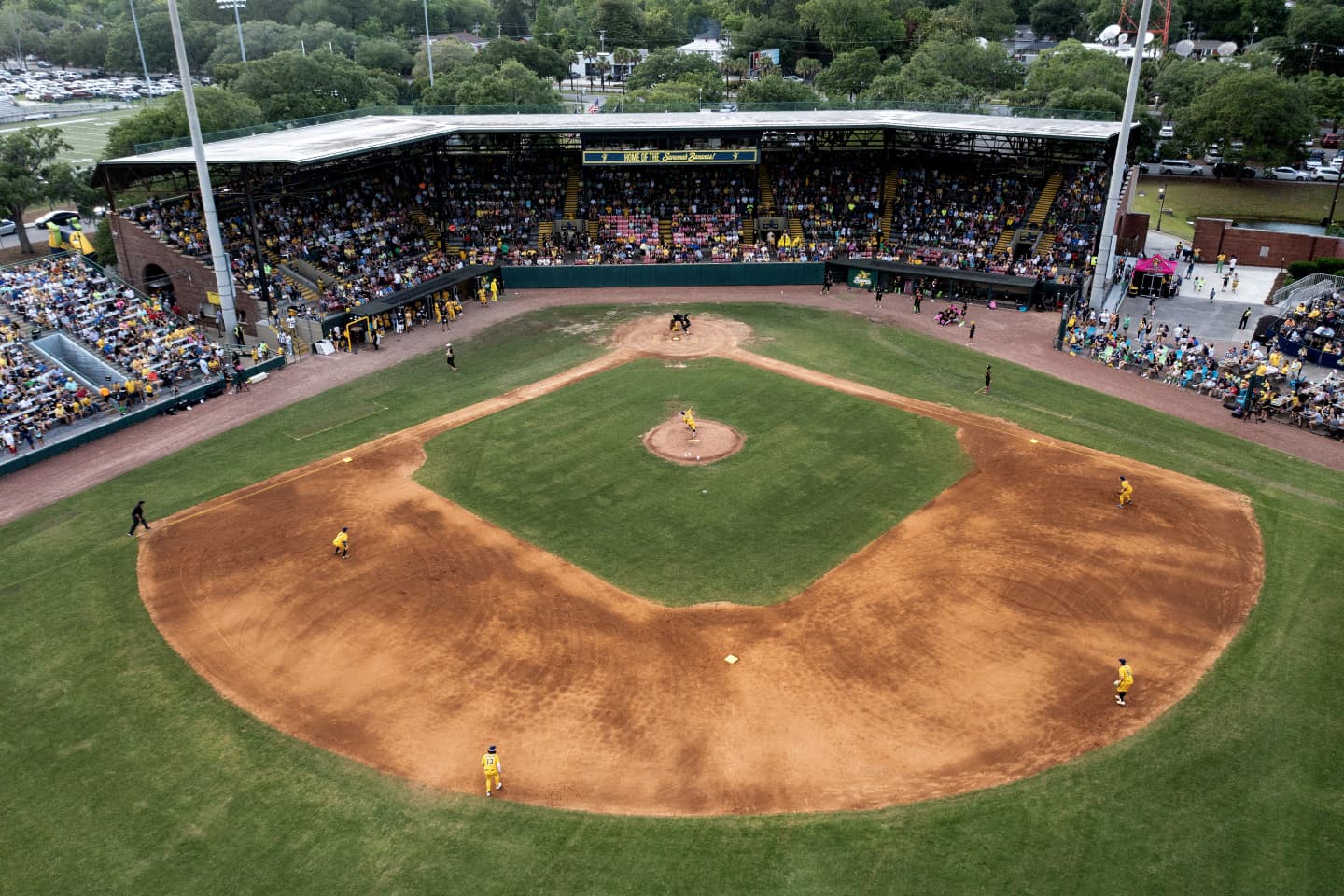 Savannah Bananas Tickets Buy or Sell Savannah Bananas 2024 Tickets