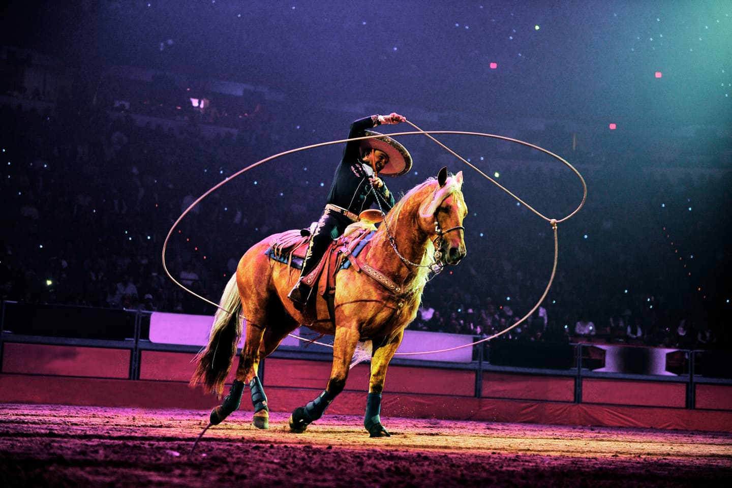 National Finals Rodeo Tickets Buy or Sell National Finals Rodeo 2024 Tickets viagogo