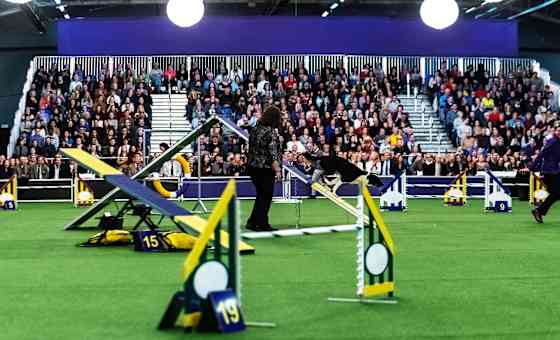Westminster Kennel Club Dog Show