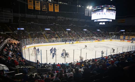 Rockford IceHogs at Milwaukee Admirals