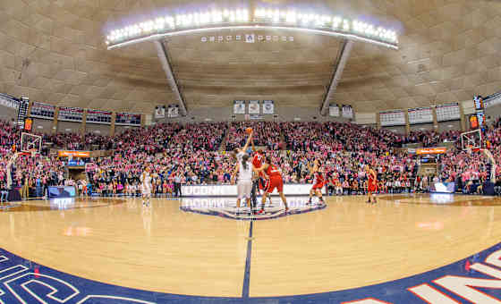 UConn Huskies at St. John's Red Storm Womens Basketball
