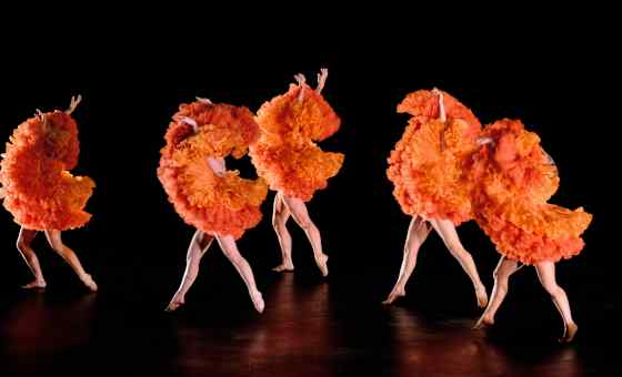 Momix - Botanica