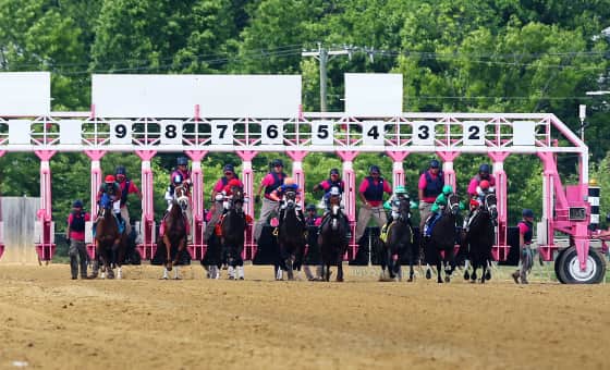 Black-Eyed Susan Stakes