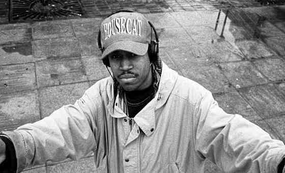 Curiouser & Curiouser: Felix Da Housecat