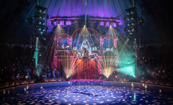 Roncalli Weihnachtscircus