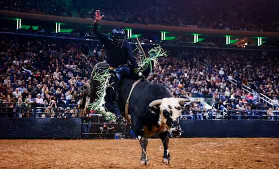 PBR: Unleash the Beast- 2 Days (January 2-3, 2027)