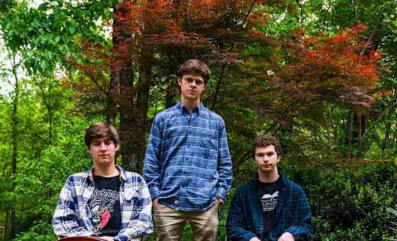 The Mountain Grass Unit