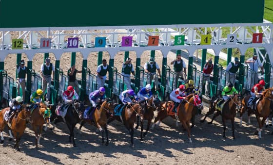 Fair Grounds Live Racing
