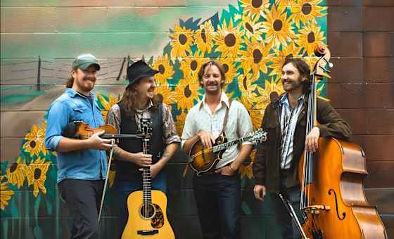 The Fretliners