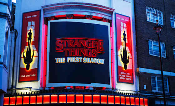 Stranger Things - The First Shadow