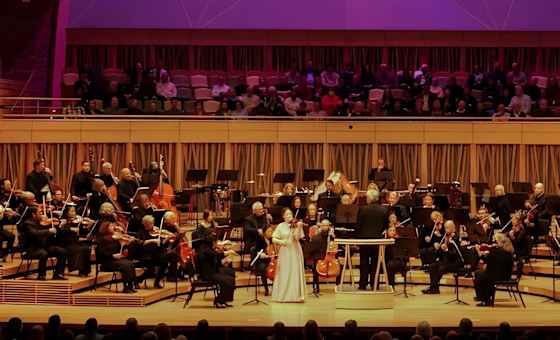 Vista Philharmonic Orchestra - Christmas Magic
