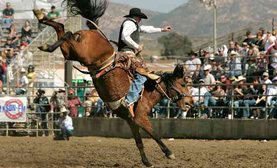 San Diego Rodeo - 3 Day Pass (January 15-17, 2027)