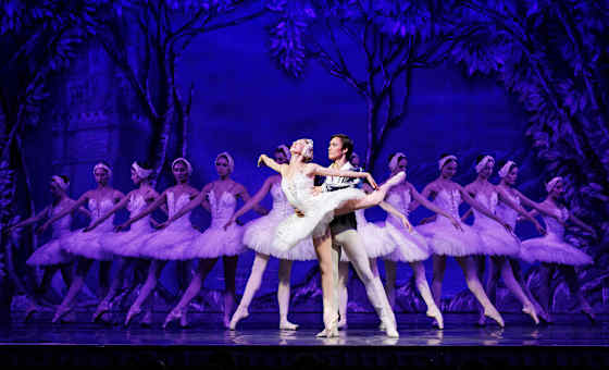 Schwanensee - International Festival Ballet & Orchestra card
