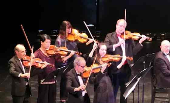 The Brandenburg Concertos