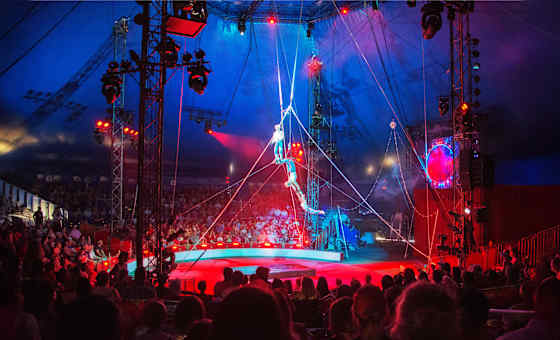 Circus Sarasota
