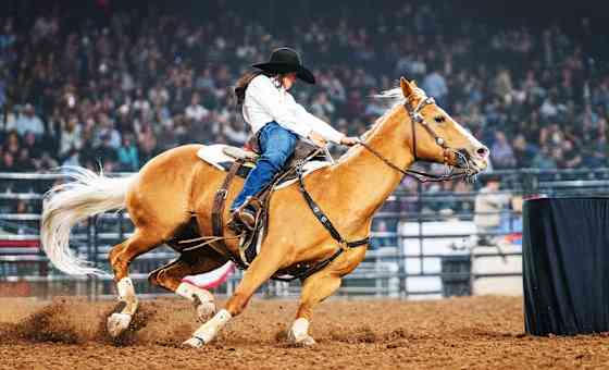 Hondo Rodeo Fest Phoenix with Tim McGraw and Miranda Lambert - Friday Pass Only