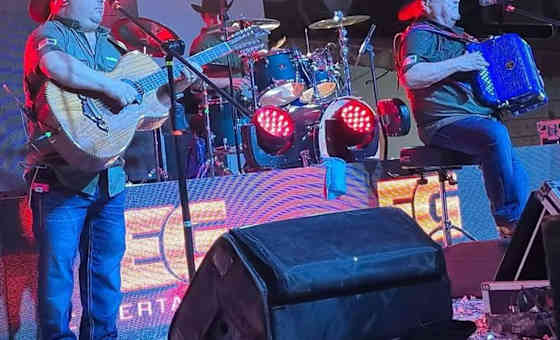 LOS CACHORROS DE JUAN VILLAREAL