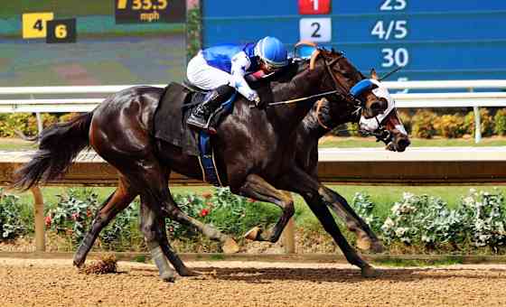 Del Mar Thoroughbred Racing - Sunday