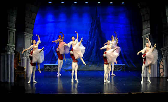 The Swan Lake: Symphony of Lights