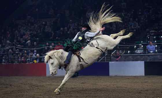 PRCA Pro Rodeo