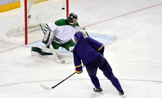 South Carolina Stingrays at Greensboro Gargoyles