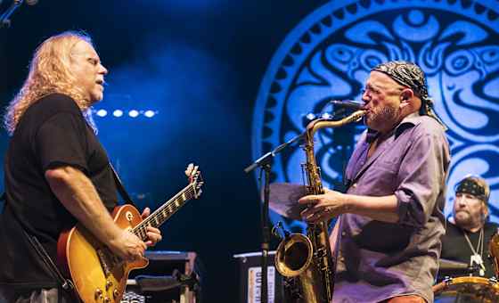 Gov't Mule