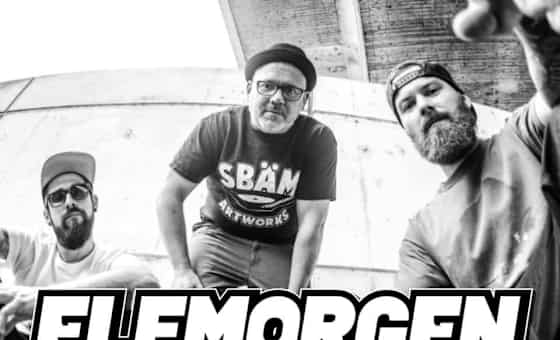 ELFMORGEN & FREUNDE Vol. 8 card