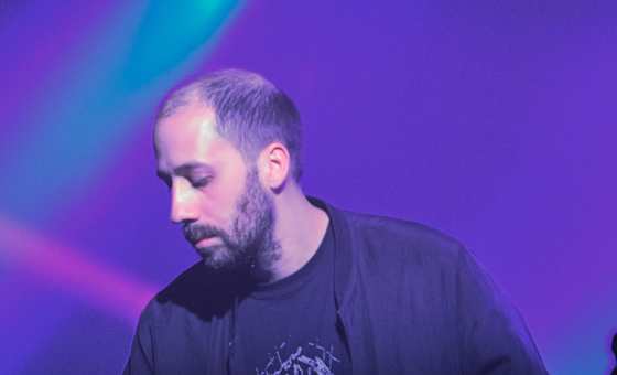 Gold Panda
