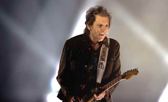 Ronnie Wood - The Artist