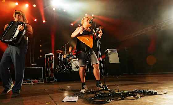 Steve 'n' Seagulls - The Dark Side of the Moo Part II card