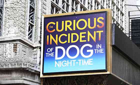 The Curious Incident of the Dog in the Night-Time