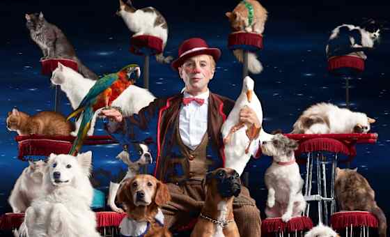 Popovich Comedy Pet Theatre