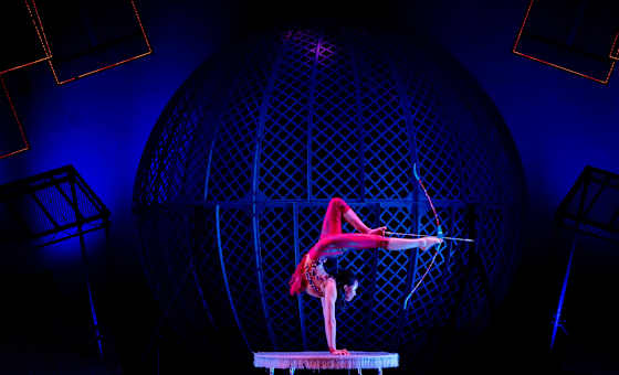 Cirque Berserk