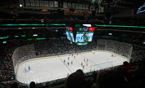 Grand Rapids Griffins at Texas Stars