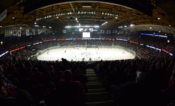 Iowa Wild at Chicago Wolves