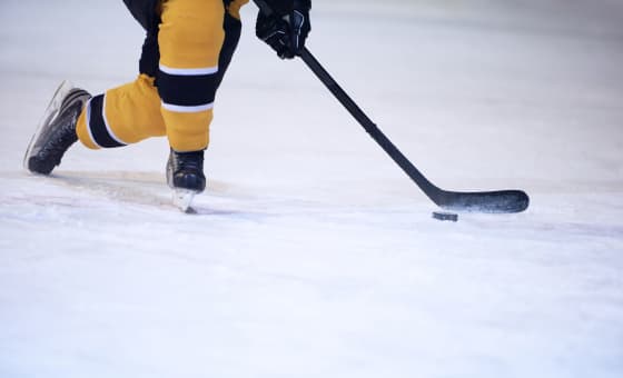 Yale Bulldogs at Union Garnet Chargers Ice Hockey