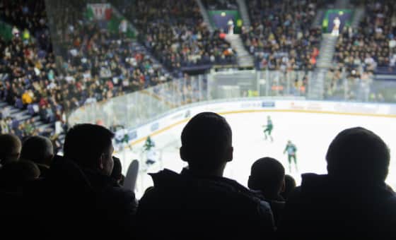Minnesota Mallards at Springfield Jr. Blues