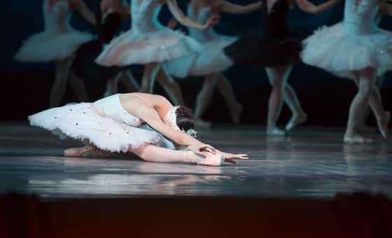 Schwanensee - Ballett mit Orchester 2027 card