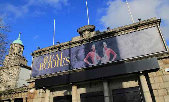 Real Bodies